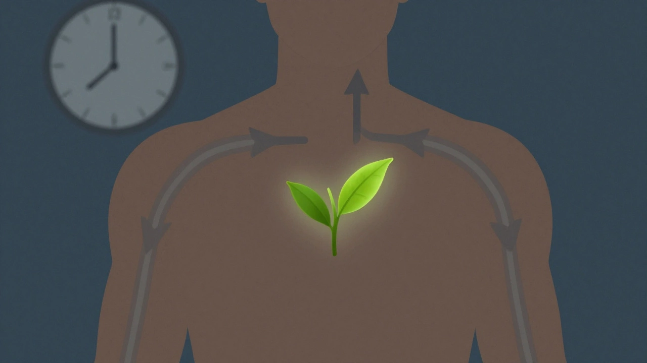 Силуэт тела с потоками воды и листом зеленого чая, символизирующий поддержку метаболизма ночью.