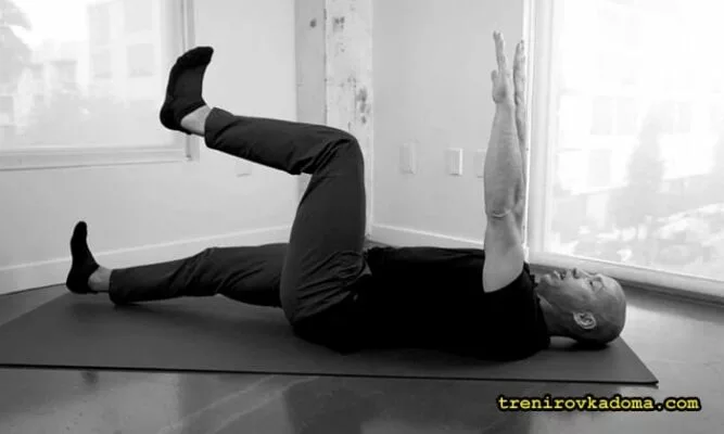 �������� Vermodje �������: ����.